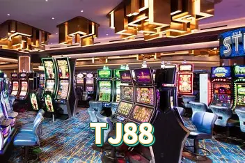Servidor Brasil TJ88